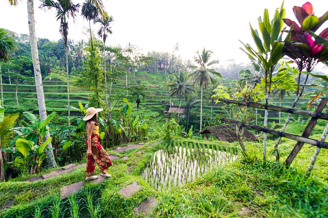 Ubud Iconic Full Day Tour Monkey Forest Rice Terraces Waterfalls - Key highlights you’ll feel right away