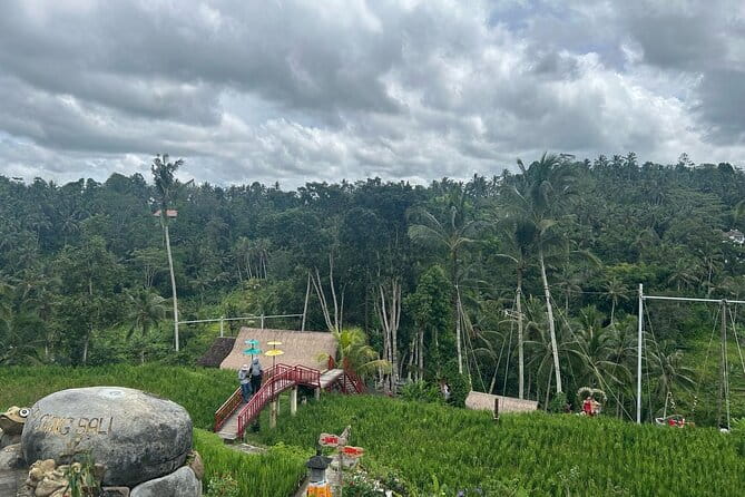 Ubud Private Tour From Cruise Port Benoa Bali All Inclusive - Tegalalang rice terraces: the classic view, plus irrigation context