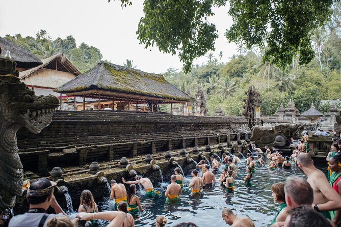 Ubud Small Group Tour: Monkey Forest, Tegalalang Rice Terraces and more - A Quick Reality Check on the Ubud Route From Kuta