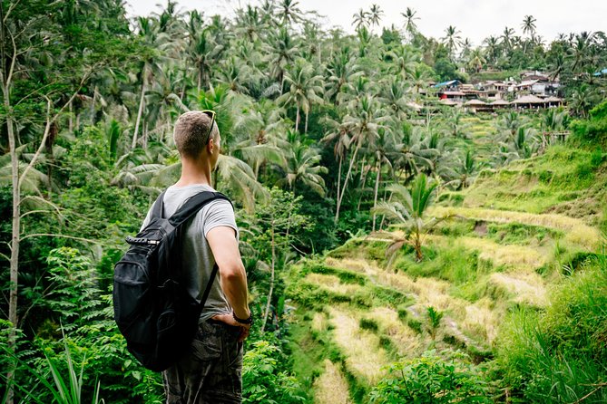 Ubud Small Group Tour: Monkey Forest, Tegalalang Rice Terraces and more - Ubud Traditional Art Market: A Real Cultural Break (and a Lunch Option)