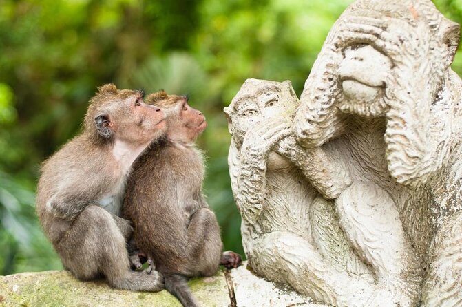 Ubud: Swing - Monkey Forest - Waterfall - Temple - Rice Terraces - Art Crafts - Key highlights worth clocking