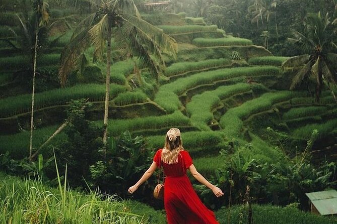 Ubud: Swing - Monkey Forest - Waterfall - Temple - Rice Terraces - Art Crafts - Why this Ubud day feels worth it (even with a packed schedule)