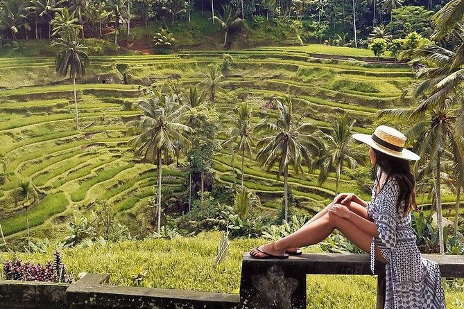 Ubud: Swing - Monkey Forest - Waterfall - Temple - Rice Terraces - Art Crafts - Tegalalang Rice Terraces: classic Ubud photos and real working fields