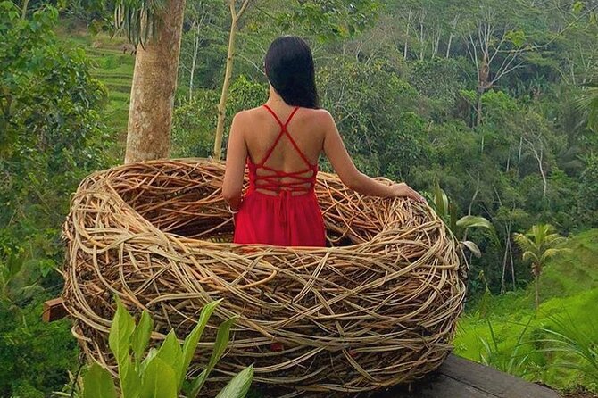 Ubud: Swing - Monkey Forest - Waterfall - Temple - Rice Terraces - Art Crafts - Tirta Empul Temple: purification rituals at the holy spring water
