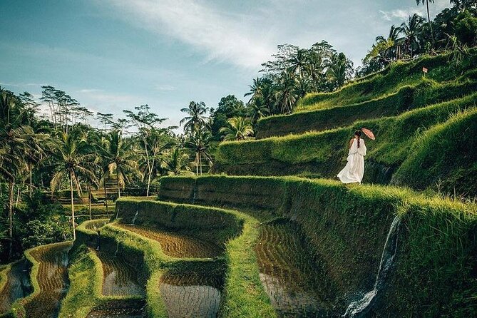 Ubud: Swing - Monkey Forest - Waterfall - Temple - Rice Terraces - Art Crafts - Price and what you’re actually paying for