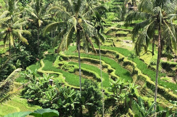 Ubud Temples, Waterfalls, Rice Terraces & Balinese Culture - Tukad Cepung Waterfall: jungle water, photos, and swim time
