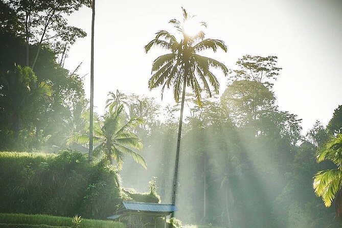 Ubud Temples, Waterfalls, Rice Terraces & Balinese Culture - Price and value: what $35 buys you in a private full day