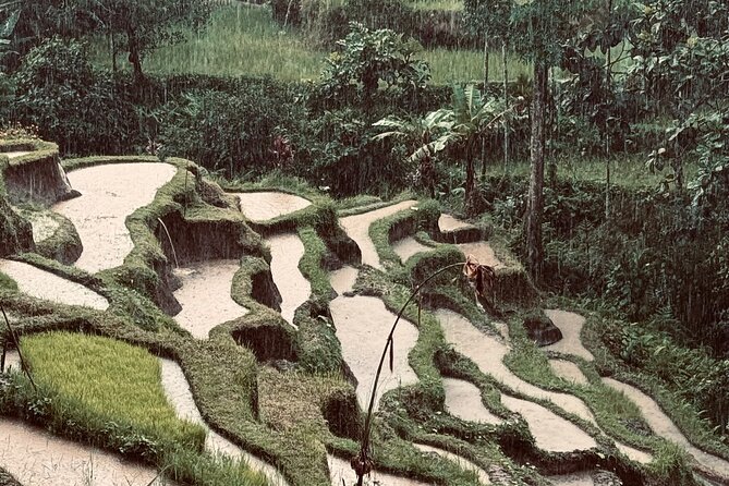 Ubud Top Tours to Discover Bali’s Cultural and Natural Wonders - Key points I’d pin to your fridge before you go