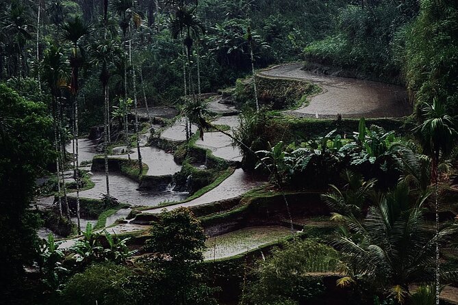Ubud Top Tours to Discover Bali’s Cultural and Natural Wonders - Stop 2: Ulu Petanu Waterfall—cool air, jungle paths, and time to breathe