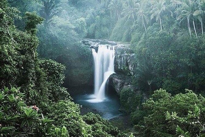 Ubud Top Tours to Discover Bali’s Cultural and Natural Wonders - Stop 3: Sacred Monkey Forest Sanctuary—spiritual vibes plus a practical game plan