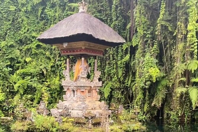 Ubud Tour - Ubud Highlight Culture, Tradition, Nature - Key highlights I’d plan around