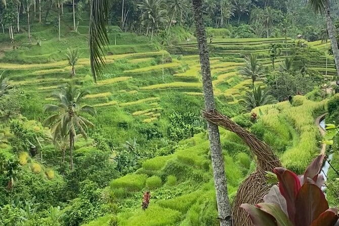 Ubud Tour - Ubud Highlight Culture, Tradition, Nature - A private Ubud day built for photos, culture, and calmer temples