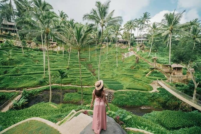 Ubud Tour - Ubud Highlight Culture, Tradition, Nature - Sacred Monkey Forest Sanctuary: macaque safety and temple context