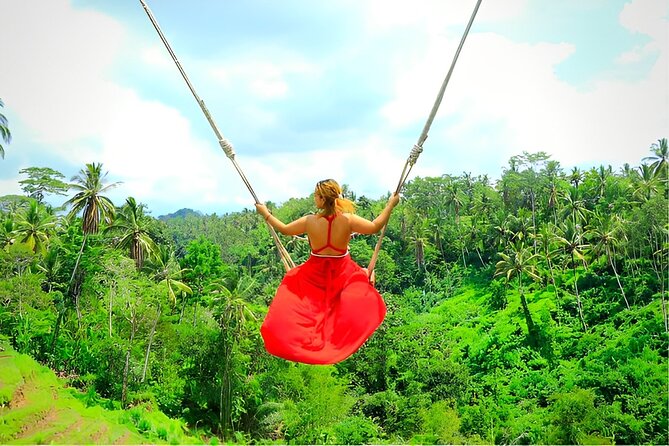 Ubud Tour with Jungle Swing and Waterfall Water Temple - Private AC Pickup and a Driver-Guide Who Keeps It Moving