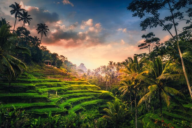 Ubud waterfall, rice terraces, and swing explore - Ubud in One Day: What This Route Really Gives You