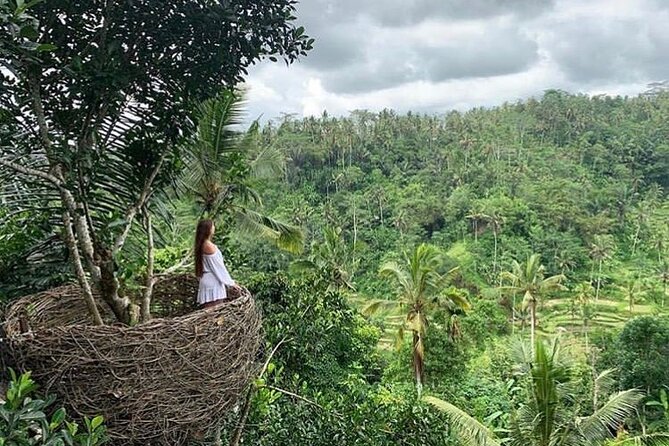 Ubud waterfall, rice terraces, and swing explore - Ubud Jungle Swing: The Big Adrenaline Moment (and the Real Cost)
