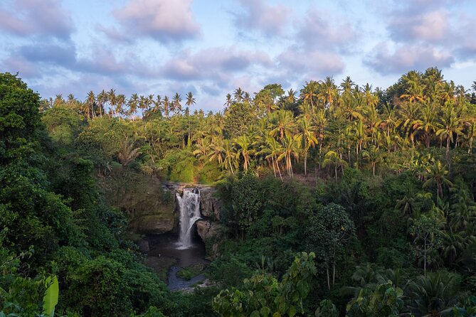 Ubud waterfall, rice terraces, and swing explore - Balinese Coffee Making: A Small Culture Stop That Adds Meaning