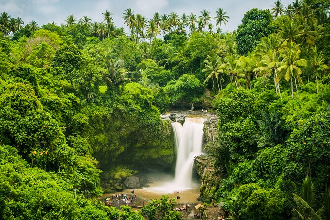 Ubud waterfall, rice terraces, and swing explore - Who Should Book This Tour (and Who Might Skip the Swing)