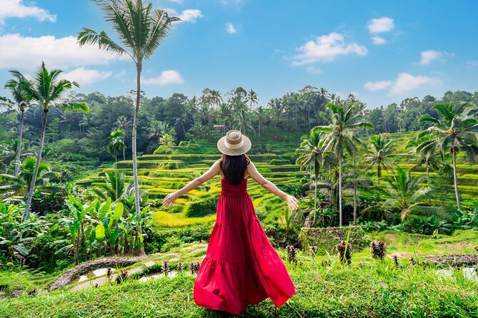 Ultimate Ubud Experience All Inclusive Private Day Tour - Key Highlights You’ll Care About
