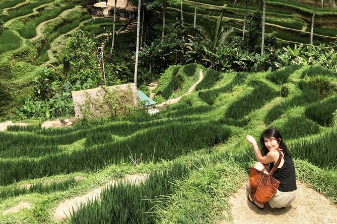 Ultimate Ubud Experience All Inclusive Private Day Tour - Sacred Monkey Forest Sanctuary: Temples in the Trees