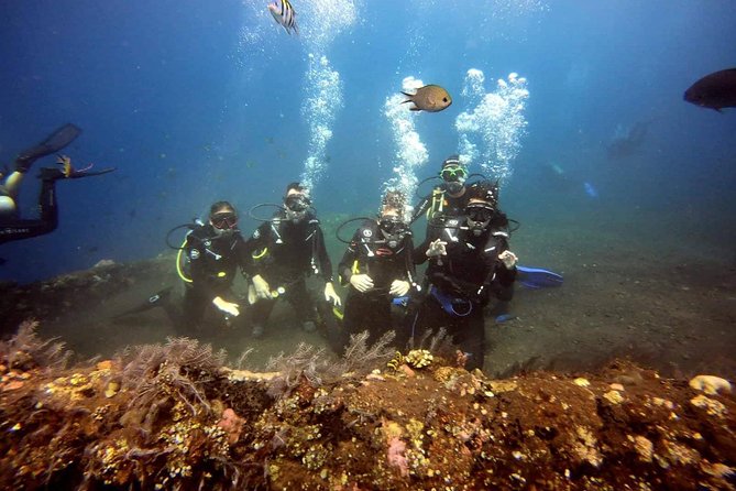 USS Liberty Shipwreck Scuba Diving at Tulamben Bali - Your first underwater session on USS Liberty: quick access, easy structure