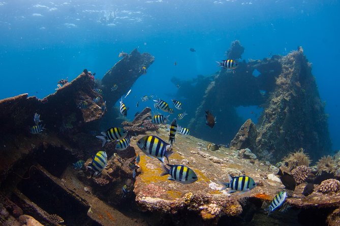 USS Liberty Shipwreck Scuba Diving at Tulamben Bali - Pickup, timing, and the car ride you’ll feel